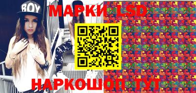 мяу мяу мука Гатчина