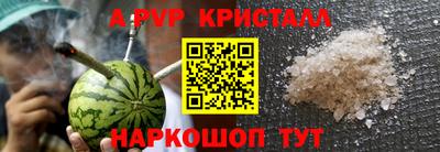 spice Гай