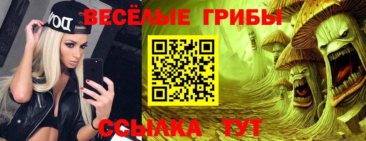 Кемерово  Псилоцибиновые грибы Psilocybine cubensis  Вход с VPN  Псилоцибиновые грибы ЛСД 